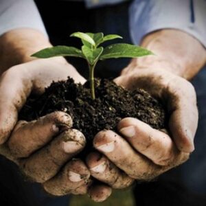 Biologico, dall’Ue un primo passo: Coldiretti chiede regole più semplici
