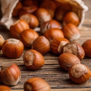 Nocciole: ottima annata della Tonda Gentile Trilobata