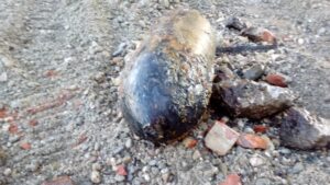 Bomba d’aereo nel Sesia a Frassineto