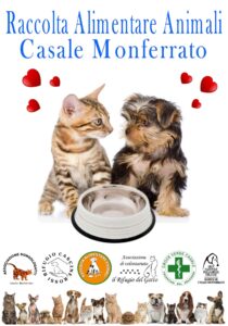 Raccolta alimentare per gli animali