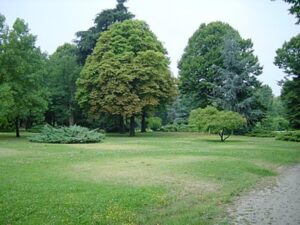 Riaperti (parzialmente) i giardini della Stazione