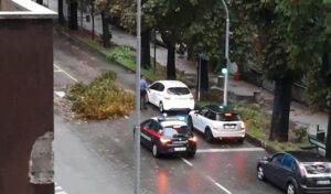 Per la pioggia cade un ramo in viale Marchino