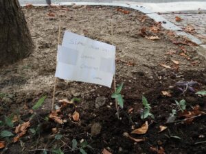 Gli anonimi difensori di piazza San Francesco