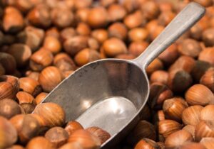 Parte la raccolta della nocciole