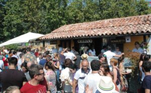 Calliano, plebiscito per l’asino