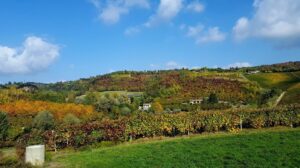 Casale con Acqui e Ovada: Monferrato autentico
