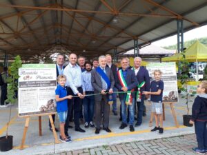 Nocciola: 2019 in calo ma prospettive rassicuranti