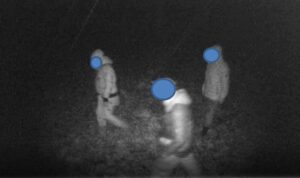 Quattro tartufai “irregolari” denunciati. Uno è minorenne