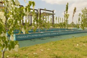 Pagina Wikipedia per Parco e Vivaio Eternot: scadenza l’8 giugno