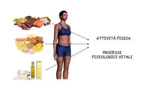 Carboidrati: fonte energetica e ottimi alleati della nostra salute