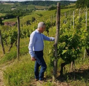 Protopapa: “Diamo una mano alle aziende vitivinicole”