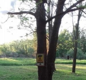 Pic-nic alla Pastrona nonostante la zona rossa: cinque denunciati