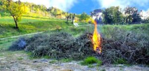 Seimila euro di sanzioni per aver bruciato residui vegetali