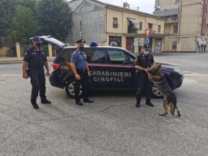 Controlli anti-rave: in campo nel fine settimana anche un’unità cinofila