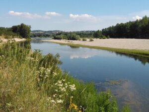 Rivalutare l’area del fiume cittadino? Si parte dagli impollinatori