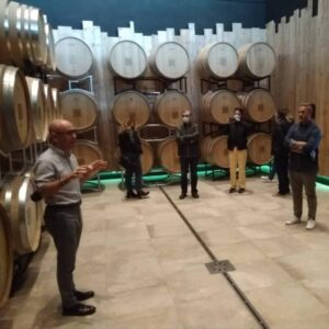Torna ‘Monferrato: dalla vigna al bicchiere’: domenica si (ri)parte da Sala