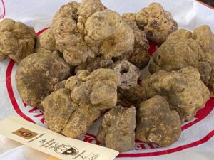 Tartufo e Natale: ancora tante opportunità a Murisengo