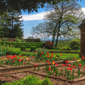 Ultima occasione per l’edizione primaverile di Ponzano Giardini Aperti