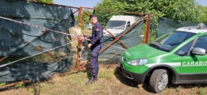 Centinaia di veicoli abbandonati, area sequestrata nel Casalese