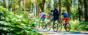 Domenica la biciclettata da Casale a Rivalba sulle orme della Ven.To