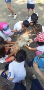 Centri estivi e servizi scolastici: iscrizioni ancora aperte