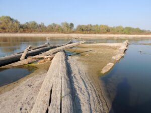 Fiume Po: leggero miglioramento delle portate, l’acqua salata retrocede