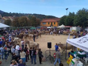 Mostra zootecnica e Rubattaballe all’Expo