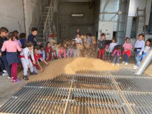 La primaria di Balzola alla scoperta della coltivazione del riso
