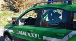 Campagna Bosco Sicuro: 15 violazioni su 18 controlli in Provincia