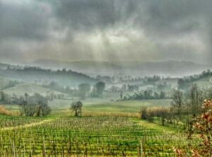 Vignale: ‘I cieli del Monferrato e il Monferrato dal cielo’, oggi la mostra