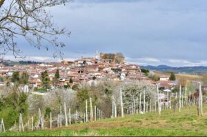 Una StartUp per lanciare il turismo in Monferrato