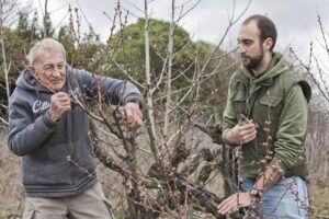Il successo de Il Ciliegio di Rinaldo: ancora al cinema a Casale
