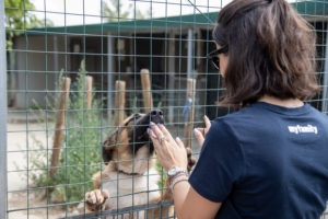 Fondazione MyFamily: 5000 kg di crocchette per i cani della provincia