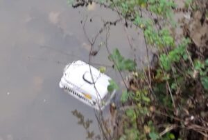 Pomaro, getta il gatto nel canale. Condannata a 1 mese