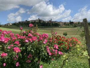 Cella Monte celebra la fine dell’estate tra musica e cultura