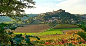 Vendemmia in Arte, zucca e lirica: le iniziative in provincia
