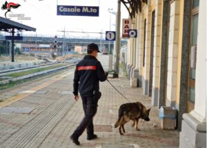 Casale, i controlli dei Carabinieri in contrasto agli stupefacenti