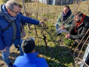 Leardi, la 5A serale Agraria tra i vigneti con Angelini Paolo