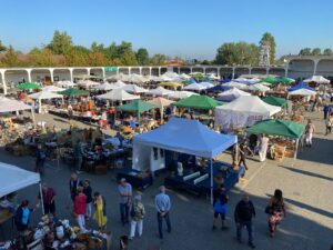 Casale Monferrato: domenica il Mercatino dell’Antiquariato