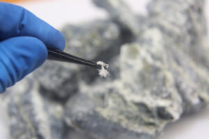 Mesotelioma, al via la seconda fase del progetto per le nuove terapie