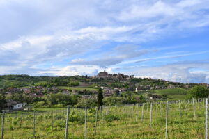 San Giorgio, l’amministrazione comunale vuole partecipazione
