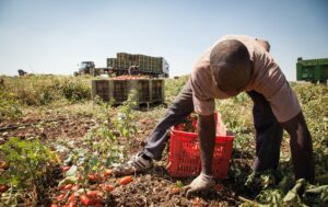 Proposte nuove misure contro il caporalato agricolo