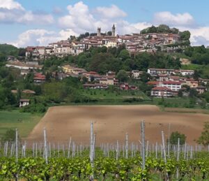 Erasmus+ G.A.I.A.: al via a Rosignano e Cella Monte il progetto
