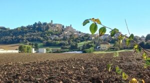 Trekking tra i colori dell’autunno a Murisengo domenica 27 ottobre