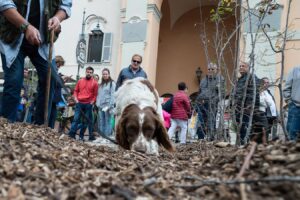70ª Fiera Nazionale del Tartufo di Moncalvo dal 20 al 27 ottobre