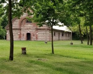 Giovane casalese condannata per abbandono di gatti alla Cittadella