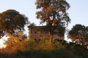 Genius Loci approda a Olivola, prima Città dell’Olio del Piemonte