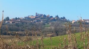 Tra Gabiano e Pozzzengo prende forma la camminata della mimosa
