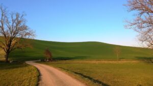 Alfiano Natta, domenica 16 il trekking con Cammini DiVini