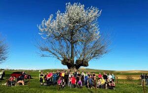 Camminata al Bialbero di Casorzo
